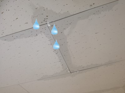 天井　水滴が落ちる　雨漏り症状